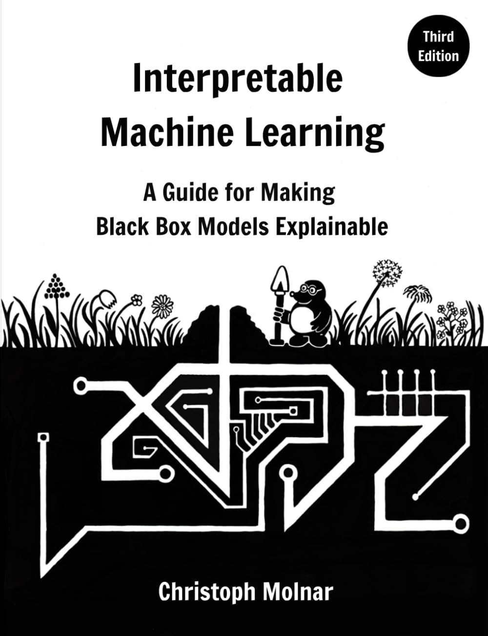 Capa de Interpretable Machine Learning