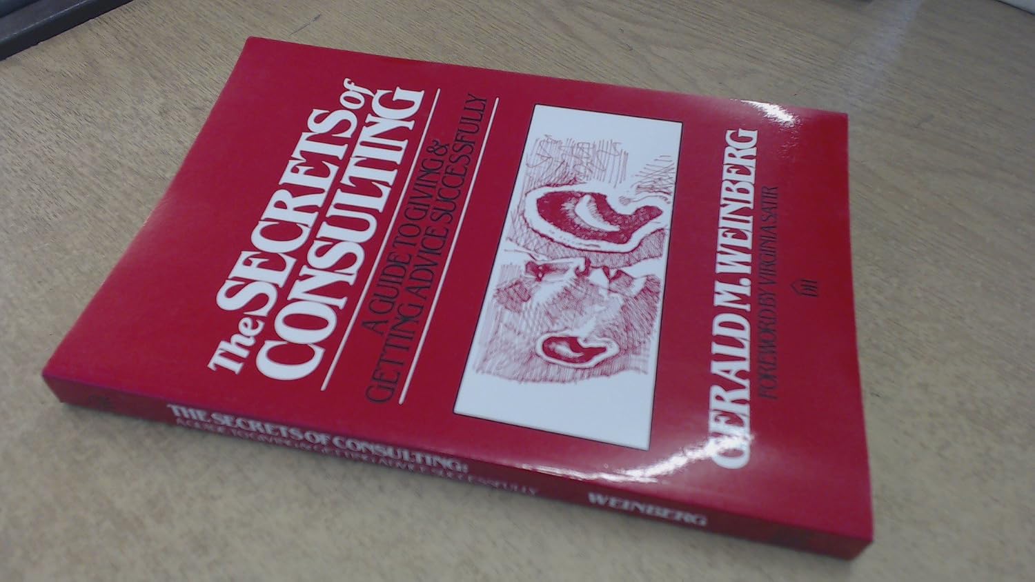 Capa de The Secrets of Consulting