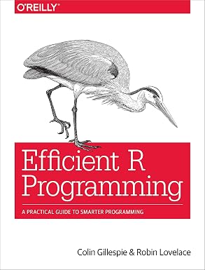Capa de Efficient R Programming